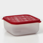 Контейнер пластиковый с крышкой Flexo, 2,7 л, цвет красный - фото 4508970