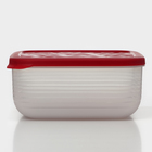 Контейнер пластиковый с крышкой Flexo, 2,7 л, цвет красный - фото 4508971