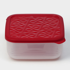 Контейнер пластиковый с крышкой Flexo, 2,7 л, цвет красный - фото 4508977
