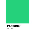 Краска акриловая матовая в тубе 75 мл CALLIGRATA, КМ045, Бледно-зеленый, пантон 7479С - Фото 3