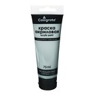 Краска акриловая матовая в тубе 75 мл CALLIGRATA, КМ056, Холодный серый, пантон Cool Gray 7 C - Фото 1