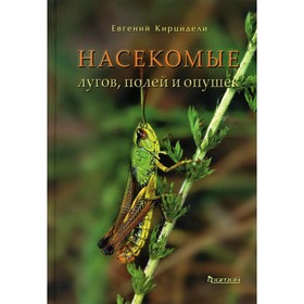 Насекомые лугов, полей и опушек. Кирцидели Е.Ю.