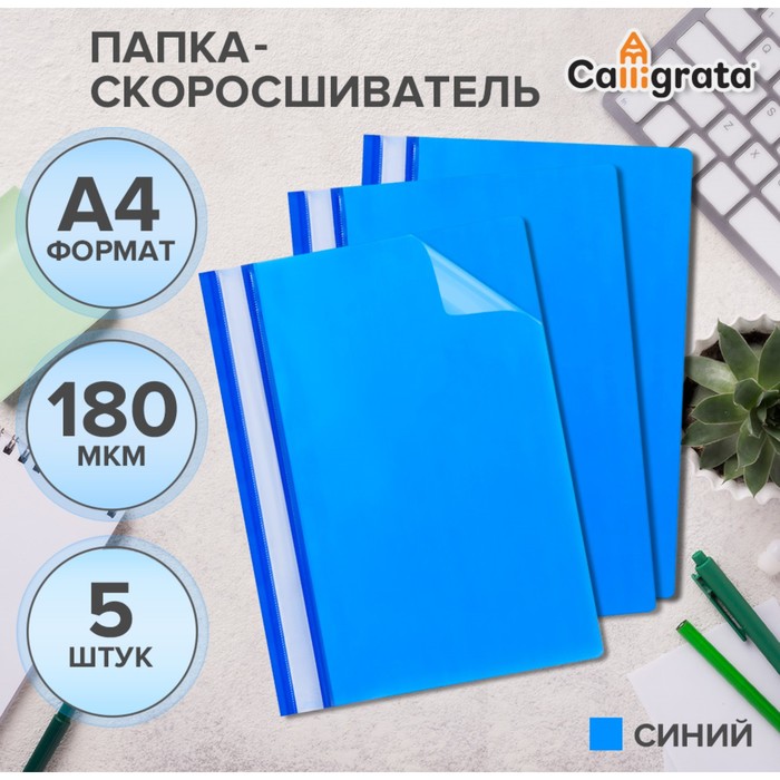 Набор папок-скоросшивателей А4, 5 штук, Calligrata, 180 мкм, с прозрачным верхом, синий - Фото 1