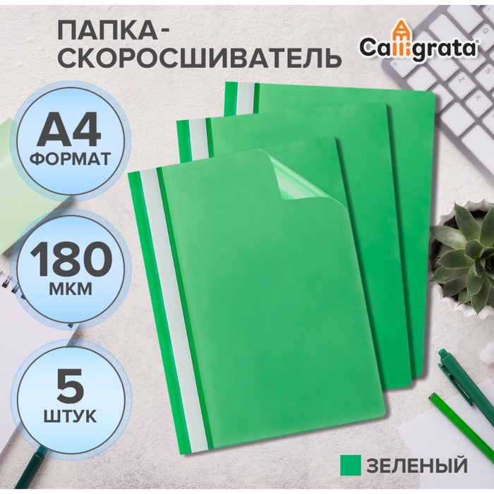 Набор папок-скоросшивателей А4, 5 штук, Calligrata, 180 мкм, с прозрачным верхом, зелёный - Фото 1