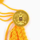 Аксельбант карнавальный «Солдат на параде», золотой - Фото 8