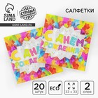 Салфетки бумажные двухслойные «С днём рождения», 33×33, 20 шт. - Фото 1