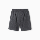 Шорты мужские, цвет тёмно-серый, размер 46 (M) - фото 24631217