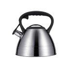 Чайник Regent inox Tea, со свистком, 3 л + подарок ситечко для заваривания чая - Фото 5