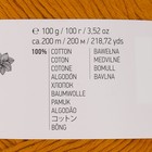 Пряжа "Bouquet Unicolor" 100% хлопок 200м/100г (3208 шафран) - фото 24537266