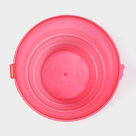 Миска Доляна «Сочный фрукт», 500 мл, 12×7 см, цвет МИКС