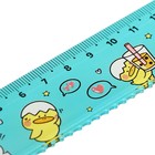 Линейка 15 см СТАММ "Утки", пластиковая, с волнистым краем, европодвес (комплект 14 шт) - фото 24570911