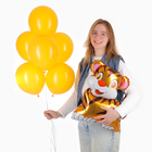 Набор шаров «Тигрёнок. С Днём рождения», латекс, фольга, 7 шт. - фото 321753322