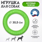 Кольцо «ДогЛайк» D-2611, 8-мигранное, большое, ⌀ 30.5 см, зелёное - Фото 1