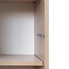 Шкаф пенал в гостиную «Лакки 5.1», 720×320×1500 мм, цвет туя светлая/кашемир - Фото 7