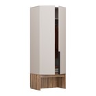 Шкаф прямой двухстворчатый «Чарли 3», 800×555×2205 мм, цвет кашемир/авелано - Фото 4