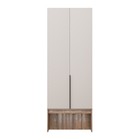 Шкаф прямой двухстворчатый «Чарли 3», 800×555×2205 мм, цвет кашемир/авелано - Фото 5