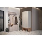 Шкаф прямой двухстворчатый «Чарли 3», 800×555×2205 мм, цвет кашемир/авелано - Фото 6