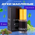 Духи масляные мужские Sauwace, 3 мл - фото 321968045