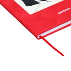 Дневник универсальный для 1-11 классов "Аниме", твёрдая обложка из искусственной кожи, аппликация, ляссе, 48 листов, красный - Фото 3