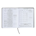 Дневник универсальный для 1-11 классов "Аниме", твёрдая обложка из искусственной кожи, аппликация, ляссе, 48 листов, синий - фото 24558744