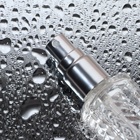 Флакон для парфюма «Прозрачный узор», с распылителем, 15 мл, цвет серебристый - фото 12097567
