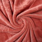 Плед Корал Морские звезды 150х200см, велсофт 270г/м, пэ100% - фото 24638768