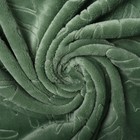 Плед Олива Монстера 150х200см, велсофт 270г/м, пэ100% - фото 24638772