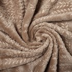 Плед Трюфель Папоротник 150х200см, велсофт 270г/м, пэ100% - фото 24638776