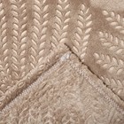 Плед Трюфель Папоротник 150х200см, велсофт 270г/м, пэ100% - фото 24638777