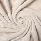 Плед Лунный луч перо 150х200см, велсофт 270г/м, пэ100% - фото 24638780