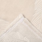 Плед Лунный луч перо 150х200см, велсофт 270г/м, пэ100% - фото 24638781