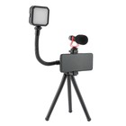 Комплект оборудования для видеосъемки Falcon Eyes BloggerKit 07 mic - Фото 2