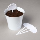 Ярлыки садовые для маркировки, фигурные, 15 см, набор 10 шт., пластик, белые, Greengo - Фото 2