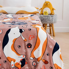 Плед Павлина FREEDom Кот Батон 150х200см, аэрософт 190г/м, пэ100% - фото 24665848