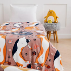 Плед Павлина FREEDom Кот Батон 150х200см, аэрософт 190г/м, пэ100% - фото 24538055