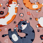 Плед Павлина FREEDom Кот Батон 150х200см, аэрософт 190г/м, пэ100% - фото 24538056