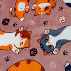 Плед Павлина FREEDom Кот Батон 150х200см, аэрософт 190г/м, пэ100% - фото 24665850