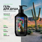 Гель для душа TRAVEL MEXICO AROMA, 600 мл - фото 321756507