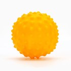 Игрушки для собак. Мячик с пищалкой «Оранжевый», d=6,5 см - Фото 2