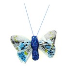 Магнит перо "Бабочка звериной окраски" 4,3х3,5 см МИКС - Фото 1