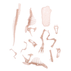 Пазл 3D «Тиранозавр», в пакете - фото 24631611