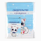 Папка для документов набор «Мои первые документы», 23.5×31.3 см - Фото 8