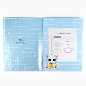 Папка для документов набор «Мои первые документы», 23.5×31.3 см