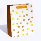 Пакет ламинированный «Звезды», MS 18 × 23 × 10 см - фото 321762185