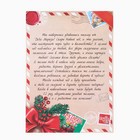 Письмо от Деда Мороза, конверт А5, с наклейками «Новогодняя служба доставки» - Фото 3