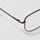 Готовые очки GA0663 (Цвет: C1 металлик; диоптрия: + 2; тонировка: Нет) - фото 24561428