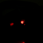 Бинокль «Шпион», с фонариком и компасом - Фото 11