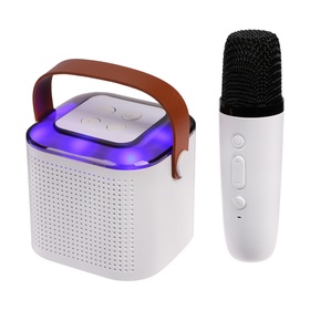 Мини караоке-система Y1, 5 Вт, микрофон, 800/400мАч, Jack 3.5, Type-С, RGB, белая