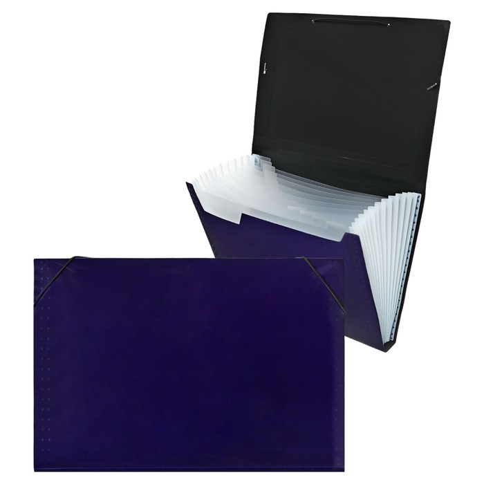 Папка картотека Calligrata TOP DeLuxe 13 отдел. A4 пластик 1.0мм черн. рез в цвет