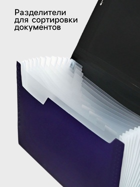 Папка А4, Calligrata TOP DeLuxe, 13 отделений, пластиковая, 1000 мкм, черничная